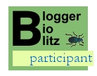 Blogger Bioblitz Participant