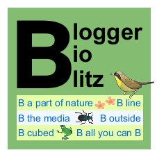 Blogger Bioblitz logo