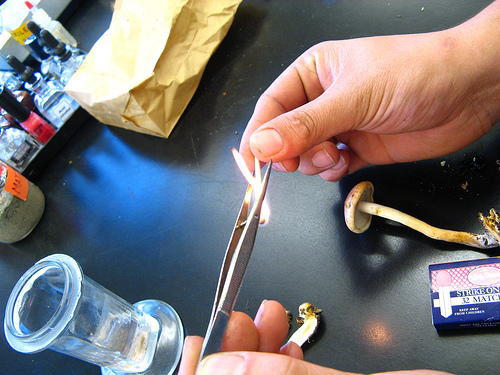 flame sterilization of your forceps