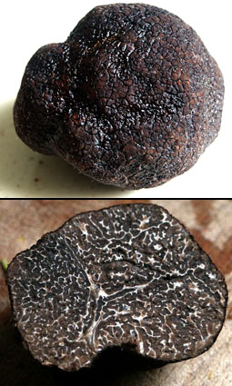 A whole truffle, and one in cross-section