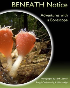 Our borescope book!