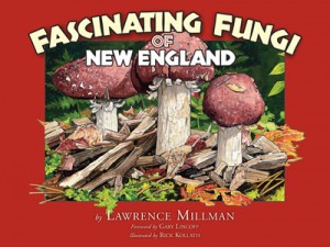 Fascinating Fungi, by L. Millman