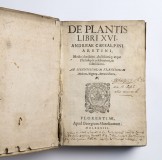 De Plantis, 1583, just a little bit moldy
