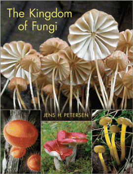 Kingdom of Fungi by Jens H. Petersen