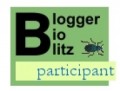 Blogger bioblitz