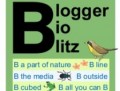 blogger bioblitz