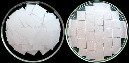 Filter paper, prepared then placed on agar medium