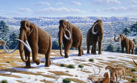 Woolly mammoths, from art by Mauricio_Antón